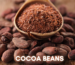 Cocoa Beans