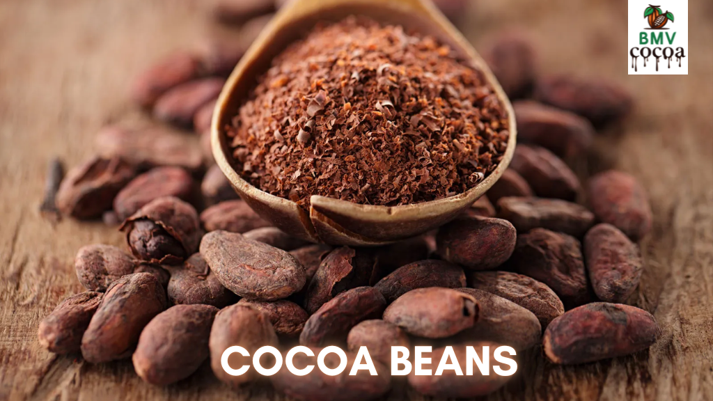 Cocoa Beans